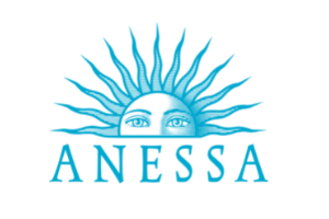 anessa logo